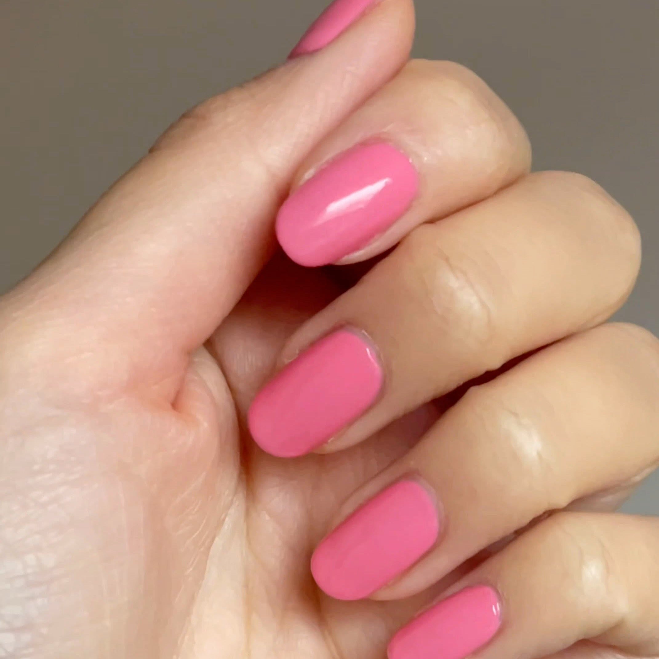PINK TULIP