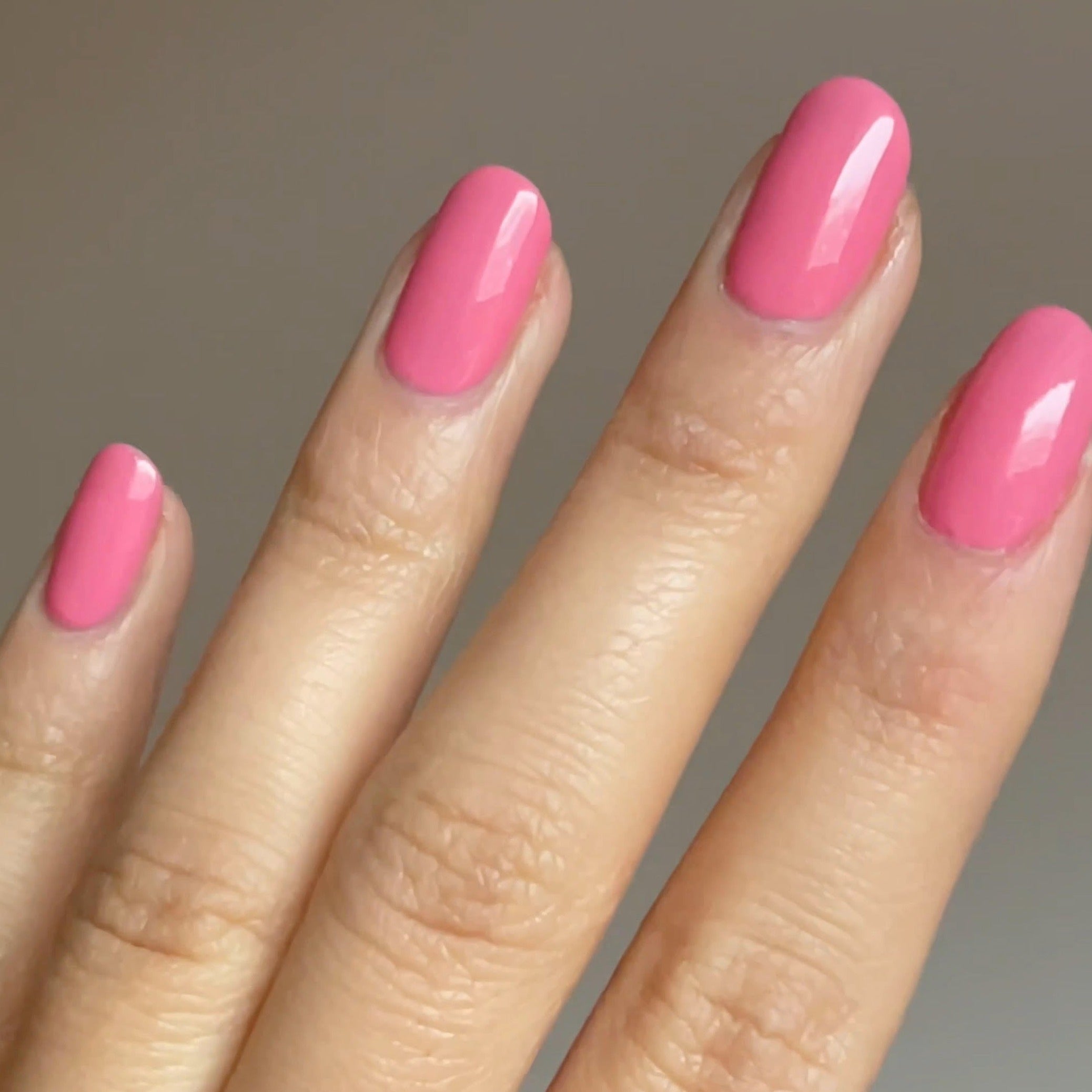 PINK TULIP