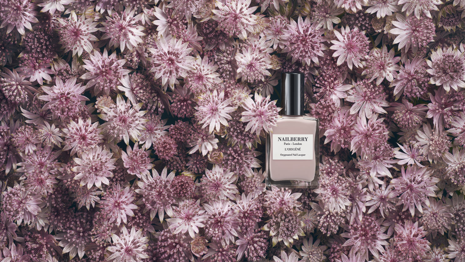 RECOMMENDED AUTUMN COLORS