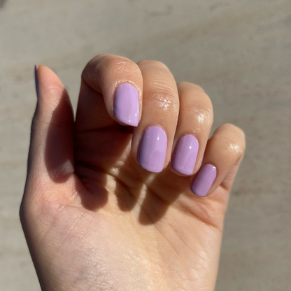 LAVENDER FIELDS