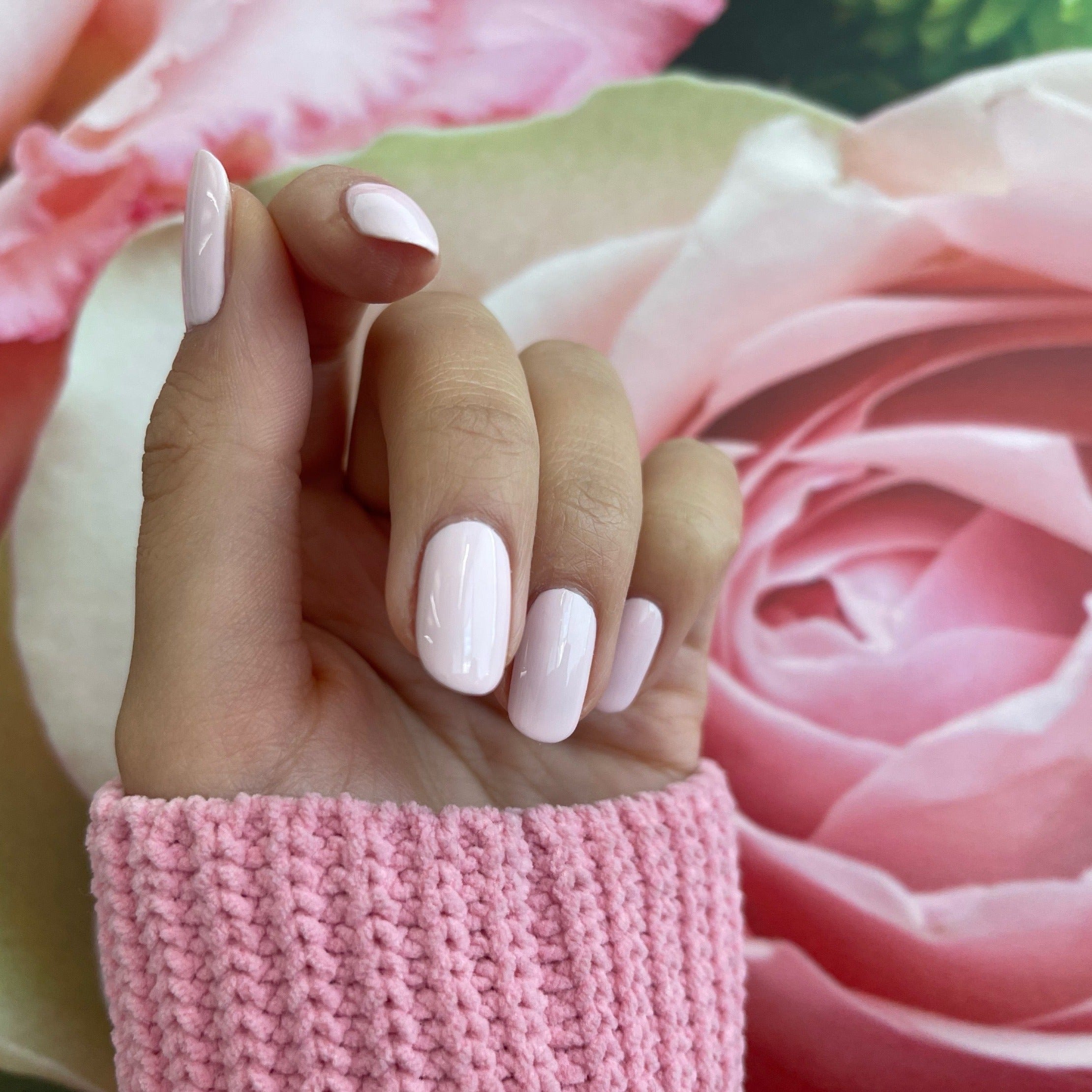 ROSE BLOSSOM